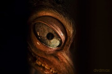 Hatching (Blu-ray)