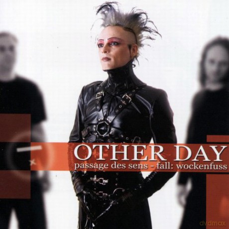 Other Day: Passage Des Sens fall wockenfluss [CD]
