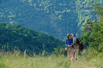 My Donkey, My Lover & I (Osiołek, kochanek i ja) [Blu-Ray]