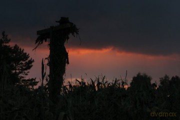 Messengers 2 - The Scarecrow (Blu-ray)