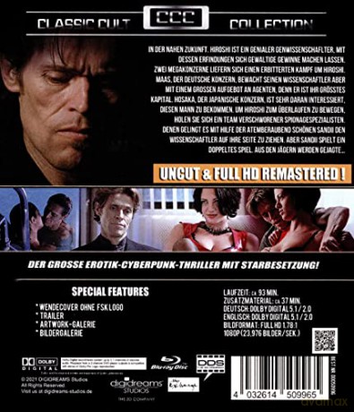 New Rose Hotel (Hotel New Rose) [Blu-Ray]