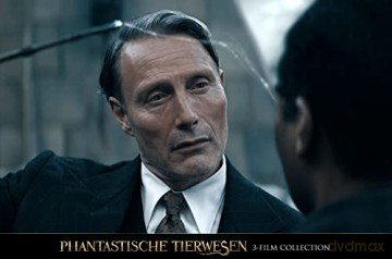 Fantastic Beasts Collection (Fantastyczne zwierzęta i jak je znaleźć/ Fantastyczne zwierzęta: Zbrodnie Grindelwalda/ Fantastyczne zwierzęta: Tajemnice Dumbledore'a) [3xBlu-Ray]