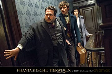 Fantastic Beasts Collection (Fantastyczne zwierzęta i jak je znaleźć/ Fantastyczne zwierzęta: Zbrodnie Grindelwalda/ Fantastyczne zwierzęta: Tajemnice Dumbledore'a) [3xBlu-Ray]