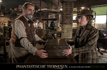 Fantastic Beasts Collection (Fantastyczne zwierzęta i jak je znaleźć/ Fantastyczne zwierzęta: Zbrodnie Grindelwalda/ Fantastyczne zwierzęta: Tajemnice Dumbledore'a) [3xBlu-Ray]