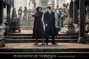 Fantastic Beasts Collection (Fantastyczne zwierzęta i jak je znaleźć/ Fantastyczne zwierzęta: Zbrodnie Grindelwalda/ Fantastyczne zwierzęta: Tajemnice Dumbledore'a) [3xBlu-Ray]