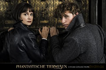 Fantastic Beasts Collection (Fantastyczne zwierzęta i jak je znaleźć/ Fantastyczne zwierzęta: Zbrodnie Grindelwalda/ Fantastyczne zwierzęta: Tajemnice Dumbledore'a) [3xBlu-Ray]