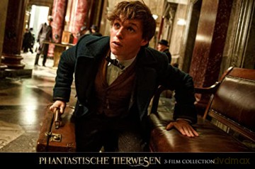Fantastic Beasts Collection (Fantastyczne zwierzęta i jak je znaleźć/ Fantastyczne zwierzęta: Zbrodnie Grindelwalda/ Fantastyczne zwierzęta: Tajemnice Dumbledore'a) [3xBlu-Ray]