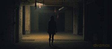Room 203 (Blu-ray)
