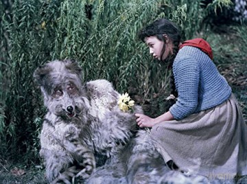 Little Red Riding Hood (Czerwony Kapturek) [Blu-Ray]