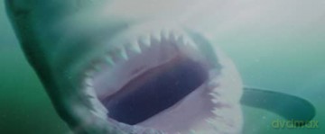 Shark Waters [Blu-Ray]