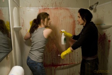 Sunshine Cleaning (Blu-ray)