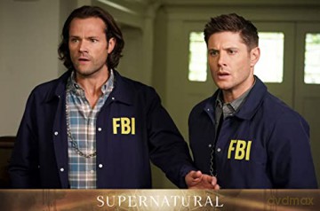 Supernatural Staffel 15 (finale Staffel) (Blu-ray)