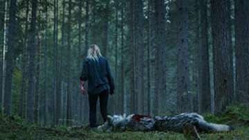 Survive (2022) (Blu-ray)