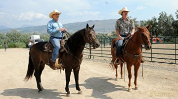Wild Horses (Blu-ray)