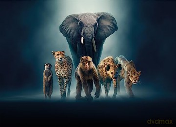 Dynasties II [2xBlu-Ray]
