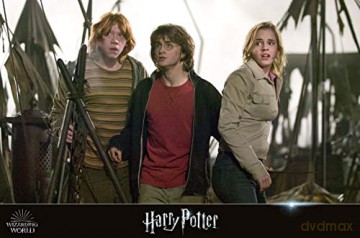 Wizarding World: Harry Potter & Fantastic Beasts (Kolekcja: Harry Potter/ Fantastyczne Zwierzęta) [10xBlu-Ray]