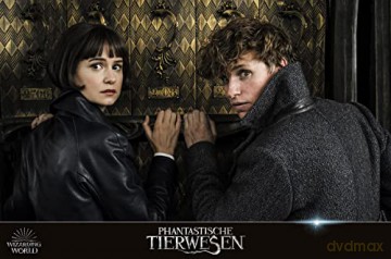 Wizarding World: Harry Potter & Fantastic Beasts (Kolekcja: Harry Potter/ Fantastyczne Zwierzęta) [10xBlu-Ray]