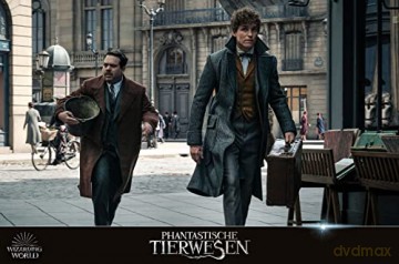 Wizarding World: Harry Potter & Fantastic Beasts (Kolekcja: Harry Potter/ Fantastyczne Zwierzęta) [10xBlu-Ray]