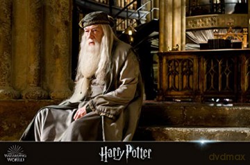 Wizarding World (Harry Potter & Fantastic Beasts) [11xBlu-Ray 4K]
