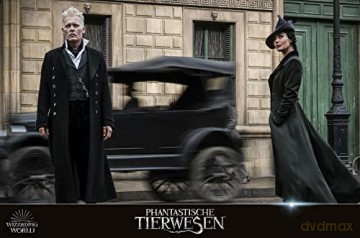 Wizarding World (Harry Potter & Fantastic Beasts) [11xBlu-Ray 4K]