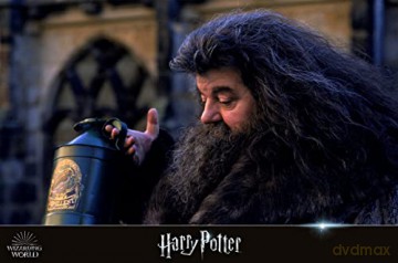 Wizarding World (Harry Potter & Fantastic Beasts) [11xBlu-Ray 4K]