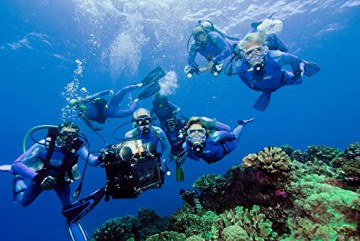 Wonders of the Sea [Blu-Ray 3D]