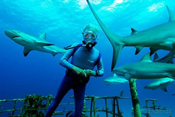Wonders of the Sea [Blu-Ray 3D]