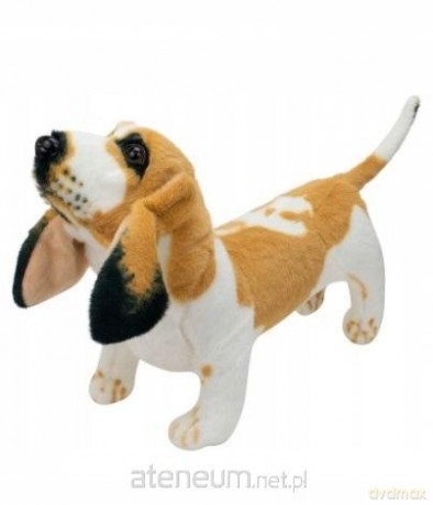 Basset 44cm