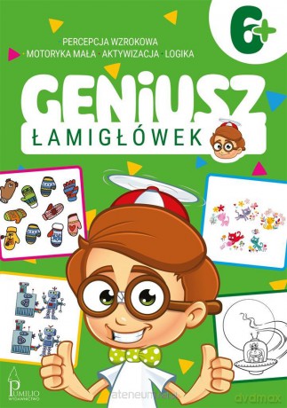 Geniusz łamigłówek 6+ [KSIĄŻKA]