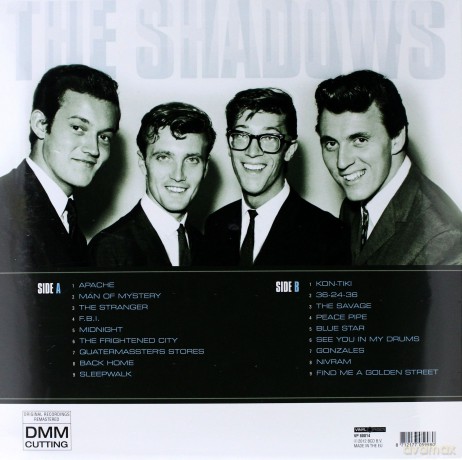 Shadows: Best of (180 gramm) [WINYL]