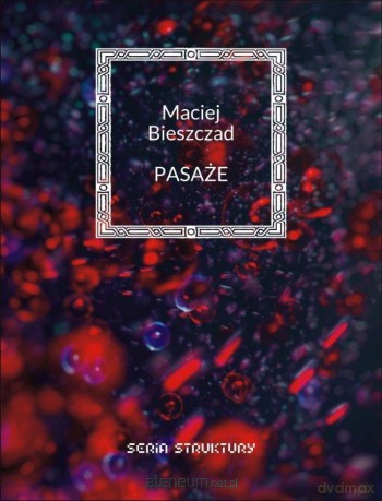 Pasaże - Maciej Bieszczad [KSIĄŻKA]