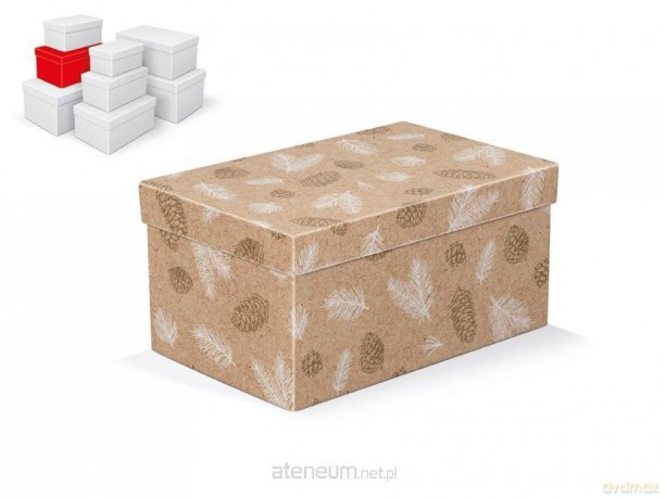 Pudełko na prezenty BN 22x14x11cm