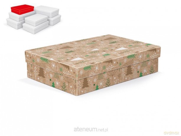 Pudełko na prezenty BN 26x17x6cm