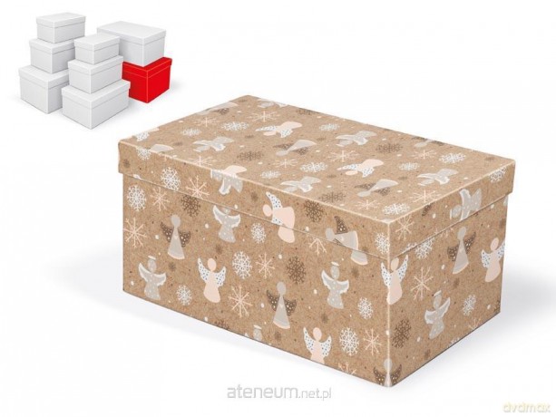 Pudełko na prezenty BN 30x19x15cm