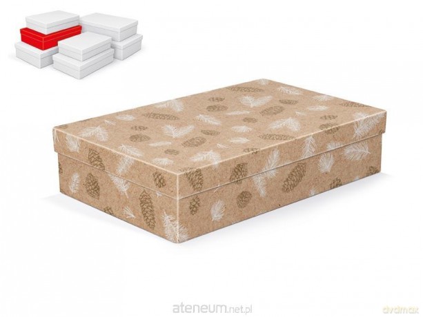 Pudełko na prezenty BN 30x19x7cm