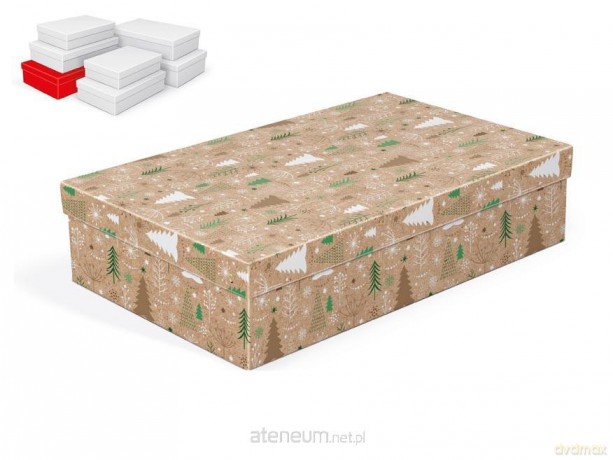 Pudełko na prezenty BN 34x22x8cm
