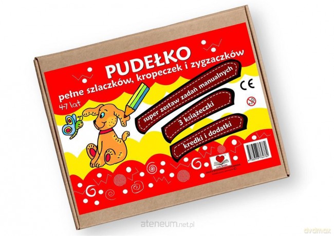 Pudełko pełne szlaczków kropeczek i zygzaczków - Agnieszka Wileńska [KSIĄŻKA]