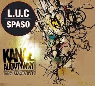 Kanał Audytywny: Neurofotoreceptoreplotyka Jako Magia Bytu (digipack) [2CD]