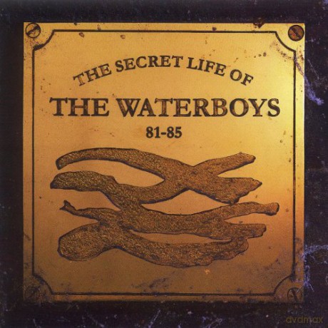 Waterboys,The: The Secret Life of Waterboys 81-85 [CD]