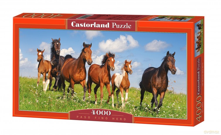 castor 4000 stado koni c-400034-2 [puzzle]