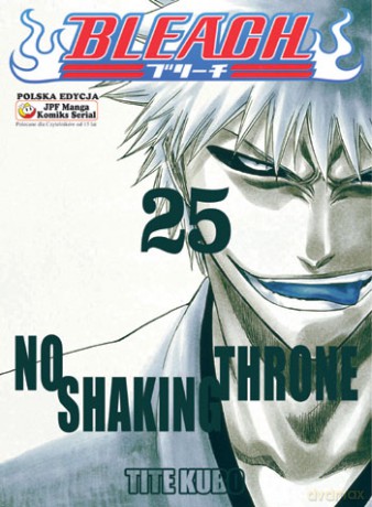 Bleach (Tom 25) - Tide Kubo [KOMIKS]
