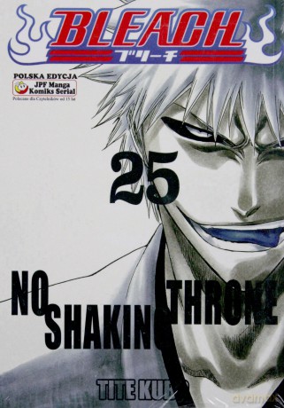 Bleach (Tom 25) - Tide Kubo [KOMIKS]