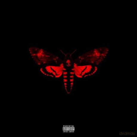 Lil Wayne: I Am Not A Human Being Ii [2CD]