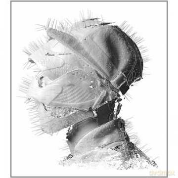 Woodkid: The Golden Age [2xWINYL]
