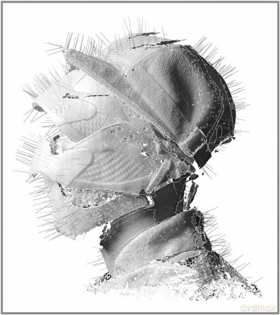 Woodkid: The Golden Age [2xWINYL]