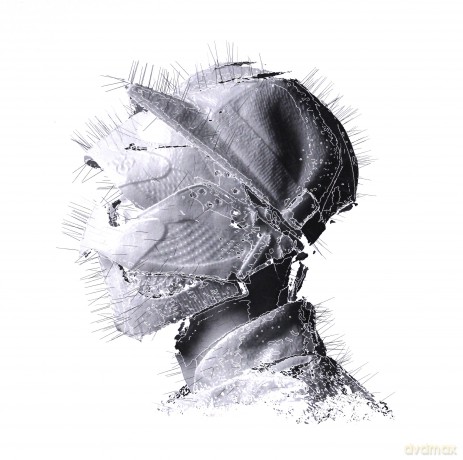 Woodkid: The Golden Age [2xWINYL]