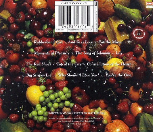 Kate Bush: Red Shoes [CD]