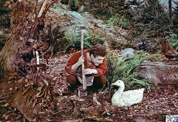 Die goldene Gans (1964) (Blu-ray)