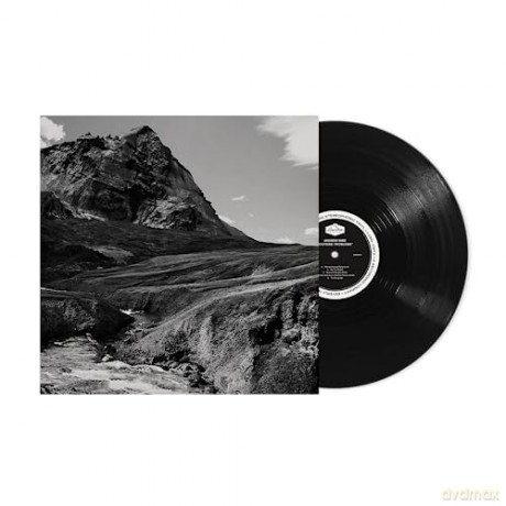 Andrew Bird: Outside Problems [Winyl]