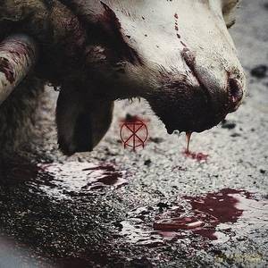 To The Grave: Director's Cuts (Splattered) [Winyl]